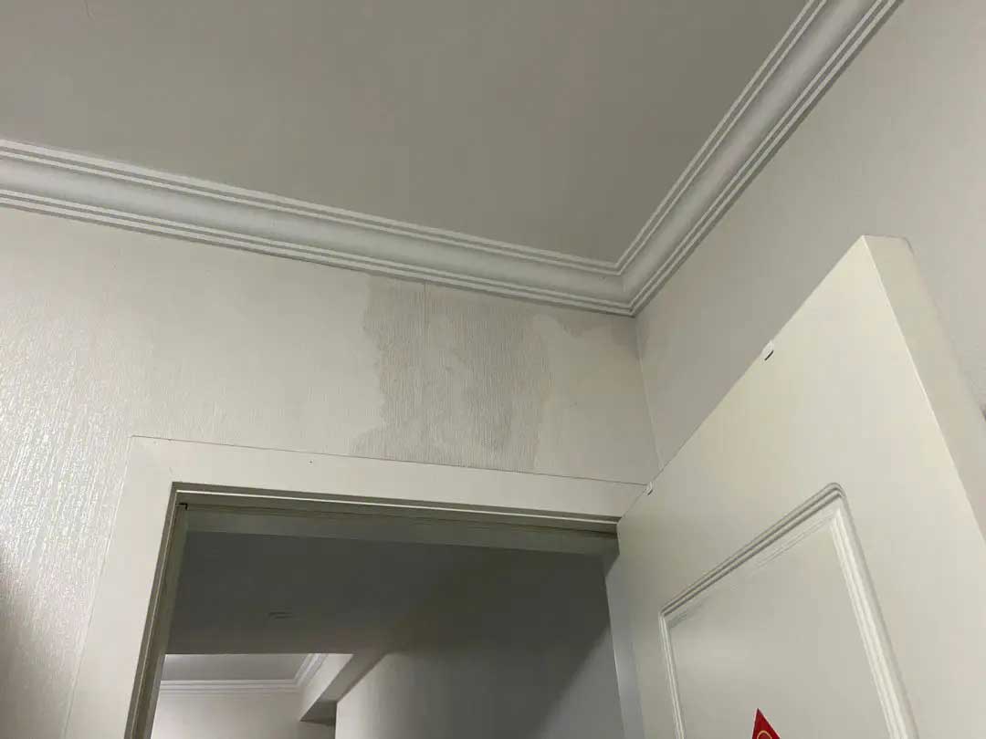 87984.jpg